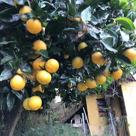 Aparthotel Max Chasma *