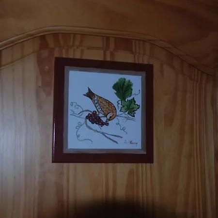 Max Chasma 아파트호텔 *